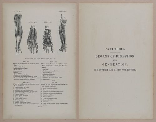 E309 - Anatomical Atlas - 8160-8161