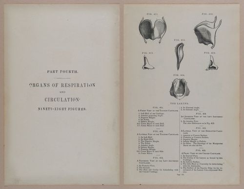 E309 - Anatomical Atlas - 8200-8201