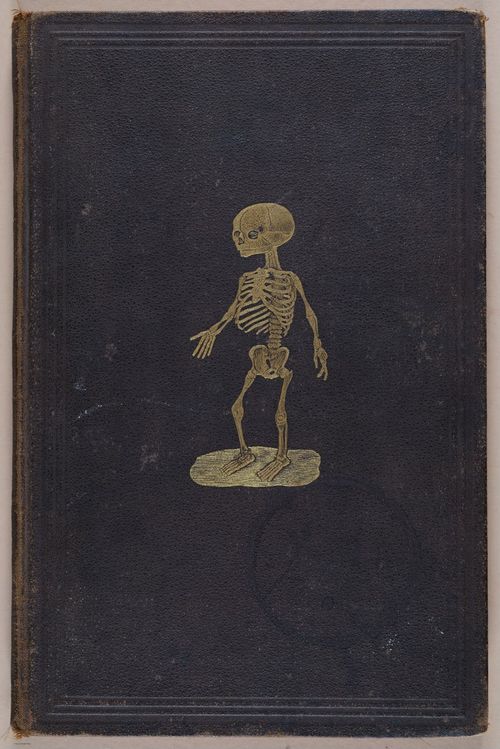 E309 - Anatomical Atlas - 8269