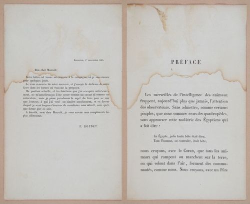 E312 - L'Intelligence Des Animaux - 8481-8482