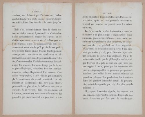E312 - L'Intelligence Des Animaux - 8489-8490