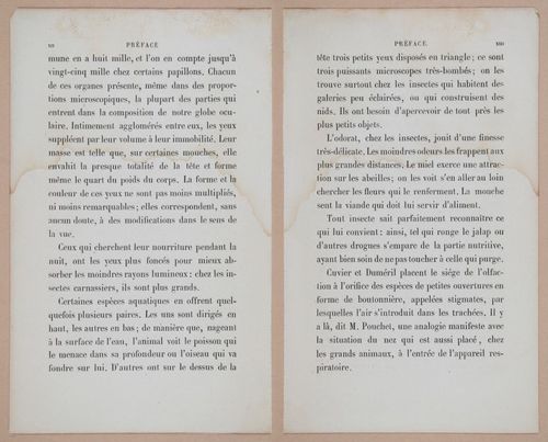 E312 - L'Intelligence Des Animaux - 8491-8492