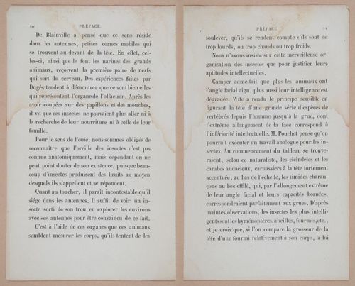 E312 - L'Intelligence Des Animaux - 8493-8494