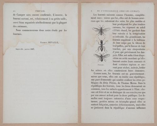 E312 - L'Intelligence Des Animaux - 8495-8496