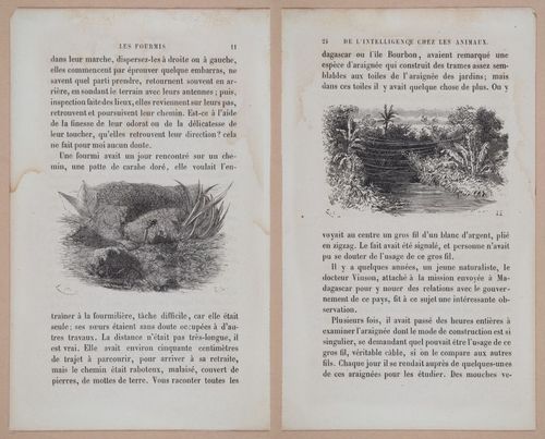 E312 - L'Intelligence Des Animaux - 8499-8500