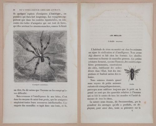 E312 - L'Intelligence Des Animaux - 8501-8502