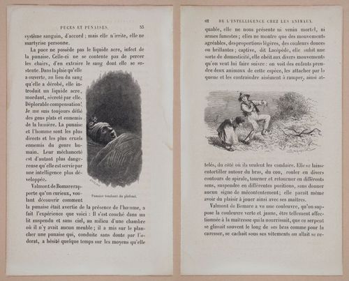 E312 - L'Intelligence Des Animaux - 8505-8506