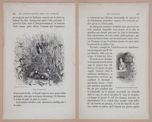 E312 - L'Intelligence Des Animaux - 8524-8525