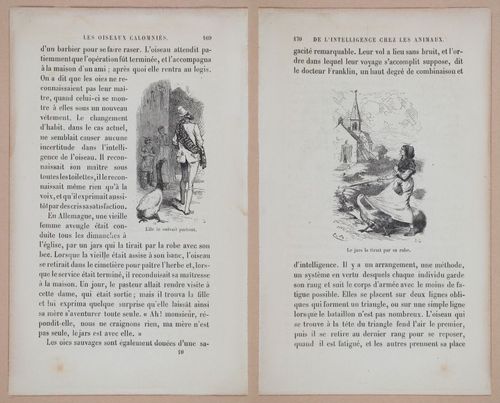 E312 - L'Intelligence Des Animaux - 8526-8527