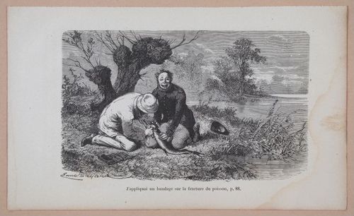 E312 - L'Intelligence Des Animaux - 8512