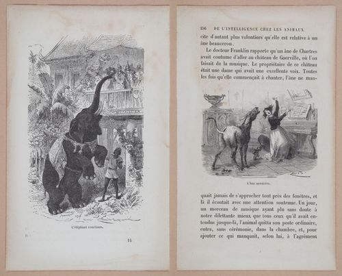 E312 - L'Intelligence Des Animaux - 8540-8542