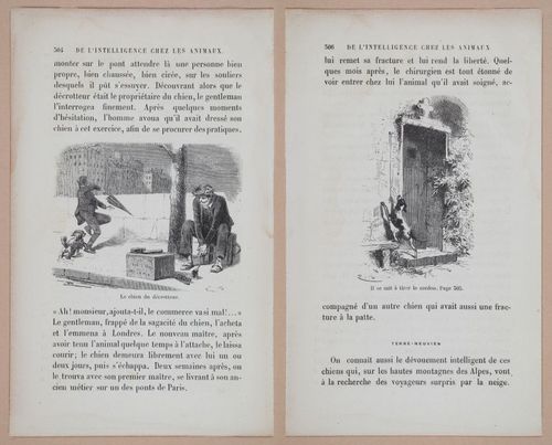 E312 - L'Intelligence Des Animaux - 8545-8546