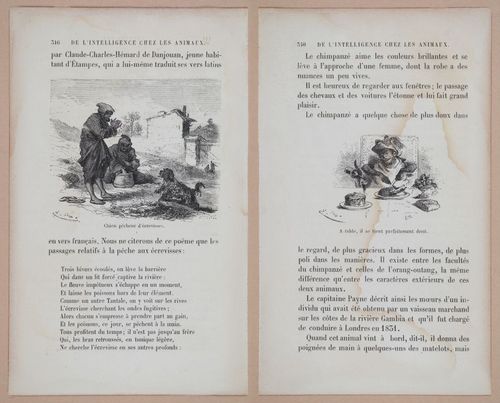 E312 - L'Intelligence Des Animaux - 8549-8552