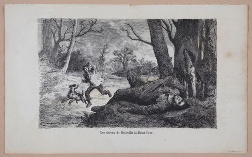 E312 - L'Intelligence Des Animaux - 8550