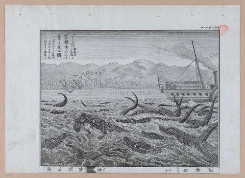E314 - Japanese Africa 1880 - 8603