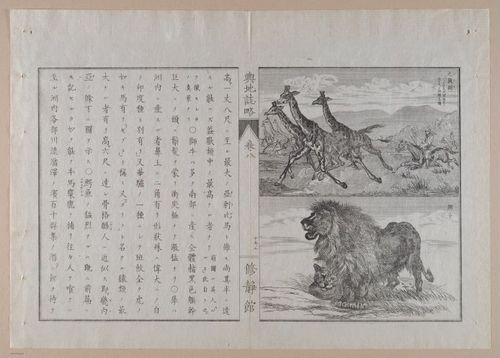 E314 - Japanese Africa 1880 - 8605