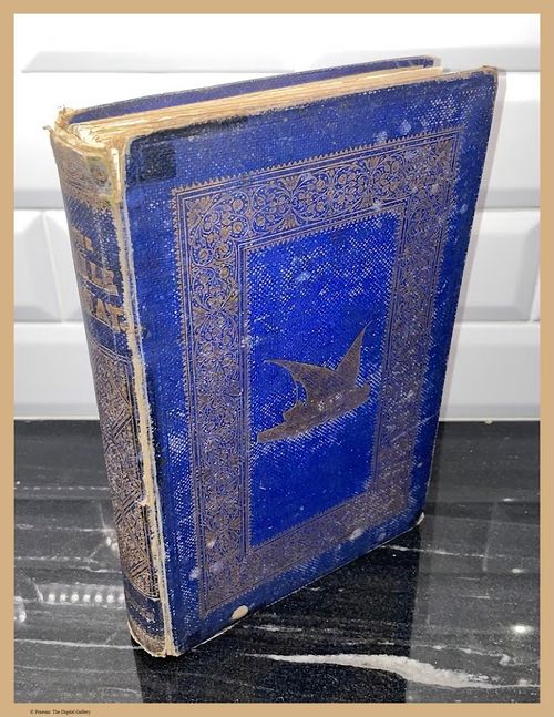 E267 - The Nile Boat - 1852 - i5167
