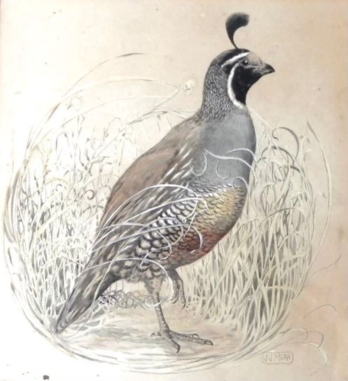 E101 - Quail Painting