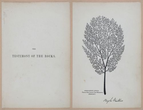 E323 - The Testimony of the Rocks - 9056-9057