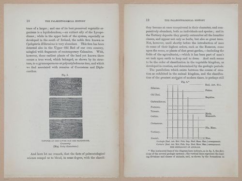 E323 - The Testimony of the Rocks - 9070-9071