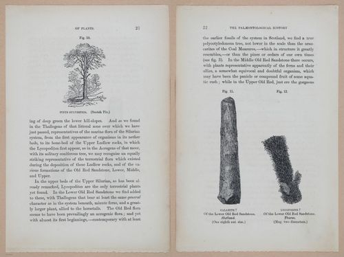 E323 - The Testimony of the Rocks - 9076-9077