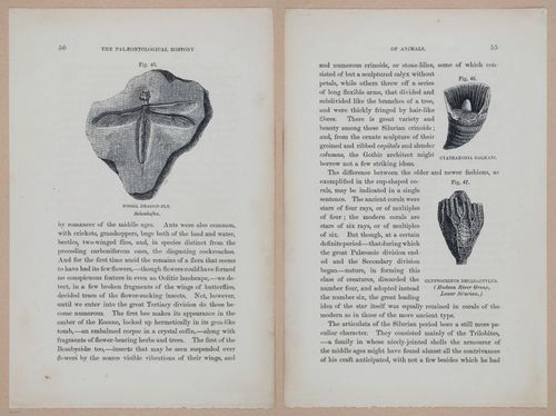 E323 - The Testimony of the Rocks - 9096-9097