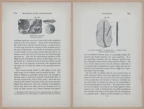 E323 - The Testimony of the Rocks - 9146-9147