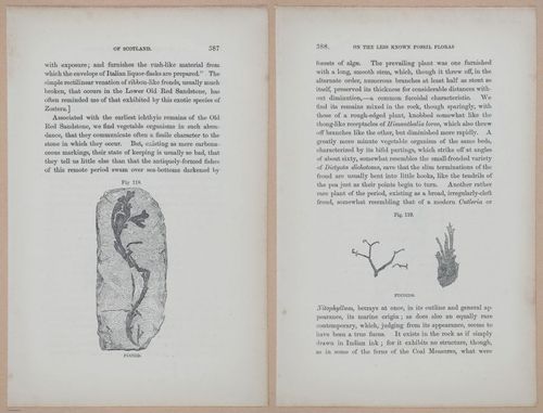E323 - The Testimony of the Rocks - 9148-9149
