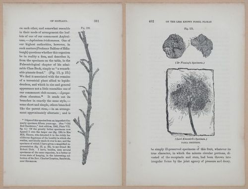 E323 - The Testimony of the Rocks - 9150-9151