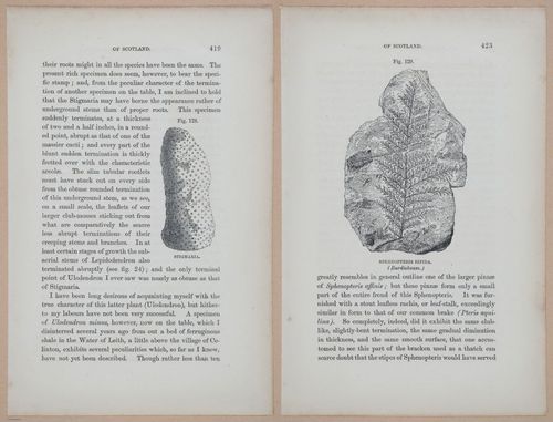 E323 - The Testimony of the Rocks - 9156-9157