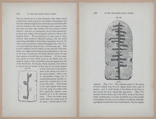 E323 - The Testimony of the Rocks - 9160-9161