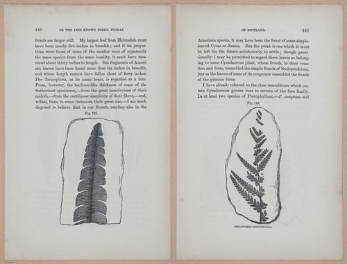E323 - The Testimony of the Rocks - 9168-9169