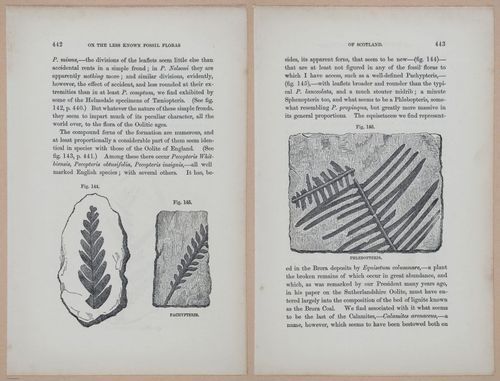 E323 - The Testimony of the Rocks - 9170-9171