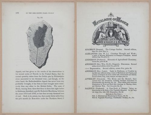 E323 - The Testimony of the Rocks - 9176-9177