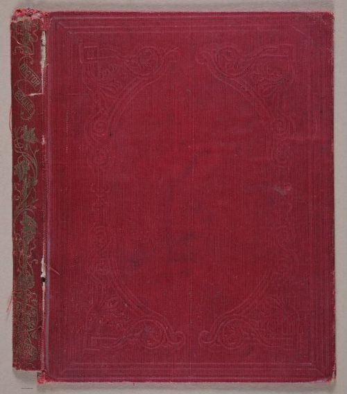 E320 - Doctor Bolus and His Patients - 9055