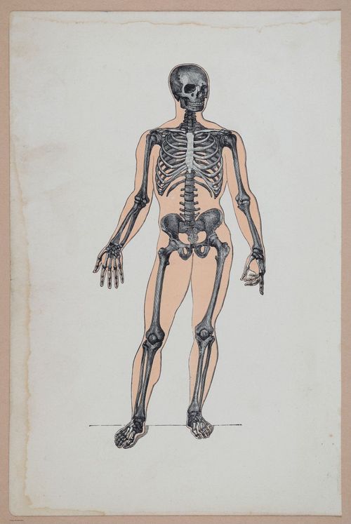 E311 - Hygienic Physiology - i8376