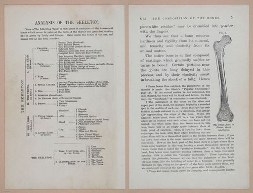 E311 - Hygienic Physiology - i8390-8391