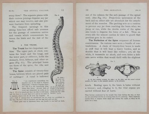 E311 - Hygienic Physiology - i8394-8395