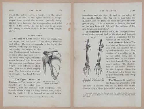 E311 - Hygienic Physiology - i8398-8399