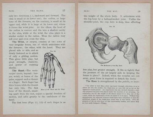 E311 - Hygienic Physiology - i8400-8401