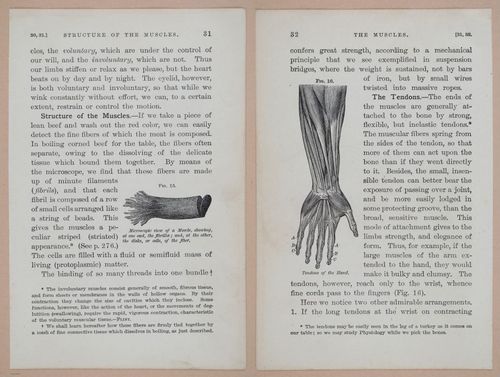 E311 - Hygienic Physiology - i8406-8407