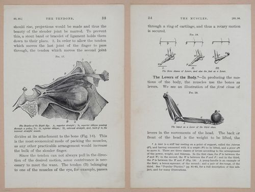 E311 - Hygienic Physiology - i8408-8409