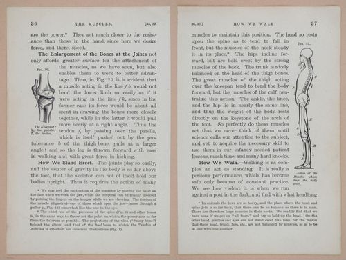 E311 - Hygienic Physiology - i8410-8411
