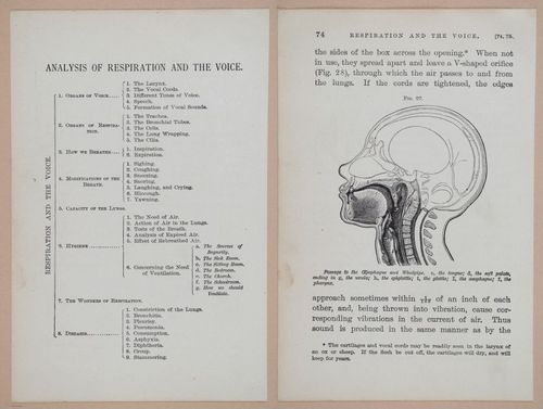 E311 - Hygienic Physiology - i8420-8421