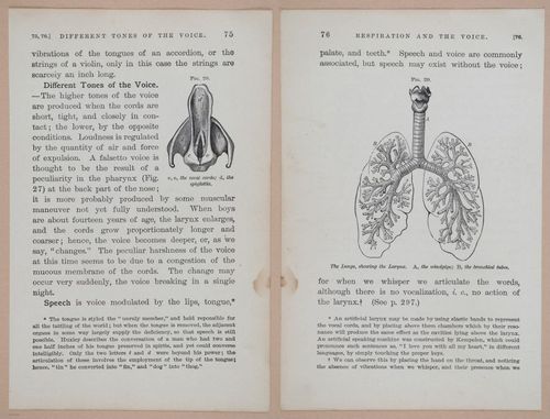 E311 - Hygienic Physiology - i8422-8423