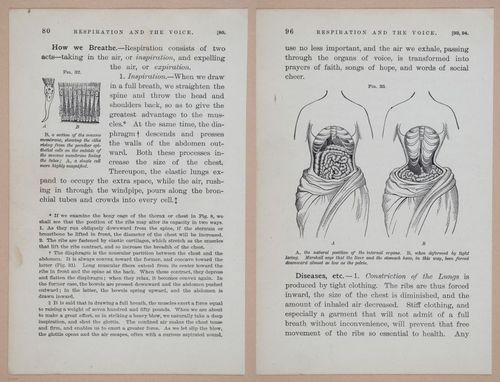 E311 - Hygienic Physiology - i8426-8427