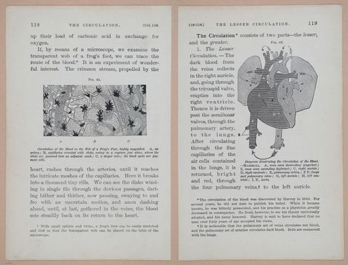 E311 - Hygienic Physiology - i8437-8438
