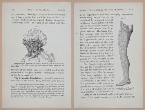 E311 - Hygienic Physiology - i8439-8440