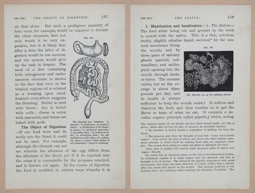 E311 - Hygienic Physiology - i8443-8444