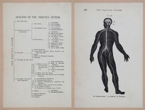 E311 - Hygienic Physiology - i8449-8450